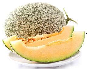 今日水果推荐蜜瓜,今日水果推荐——蜜瓜盛宴