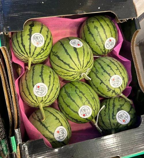 麒麟瓜今日价钱,抢购热潮席卷市场