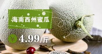 今日瓜沥,聚焦瓜沥发展动态