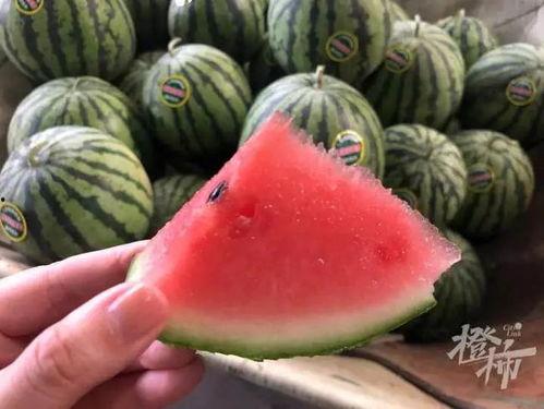 小喜瓜今日价格,市场行情一览”