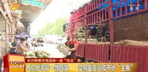 下桥麒麟瓜今日行情,价格波动与市场动态一览
