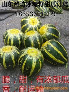 潍坊棱瓜今日价格,市场行情一览”