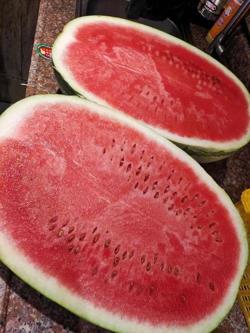 白皮瓜价格今日行情,价格波动解析