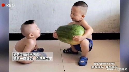 瓜弟 今日吃瓜,揭秘娱乐圈新鲜事
