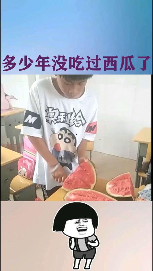 瓜弟 今日吃瓜,揭秘娱乐圈新鲜事