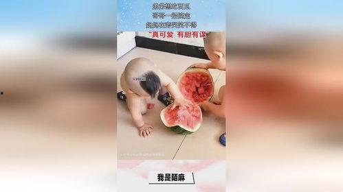 瓜弟 今日吃瓜,揭秘娱乐圈新鲜事
