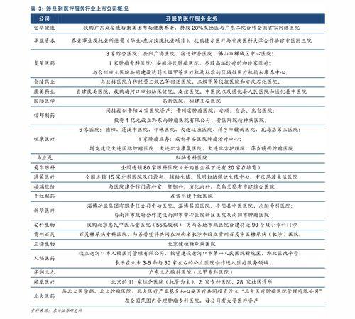 今日瓜价行情,市场供需动态解析