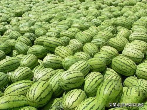 718今日大瓜 热门大瓜,揭秘热门事件背后的真相