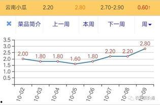 小瓜行情今日行情,今日市场动态一览”