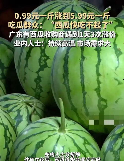 今日收瓜价格,今日收瓜价格一览，揭秘市场动态”