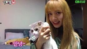今日吃瓜lisa,LISA的时尚魅力与舞台风采