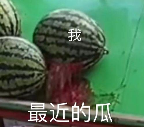 五一吃瓜今日吃瓜在线,今日吃瓜在线，揭秘热门事件背后的真相