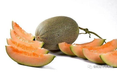 今日瓜来了,揭秘娱乐圈最新热点事件