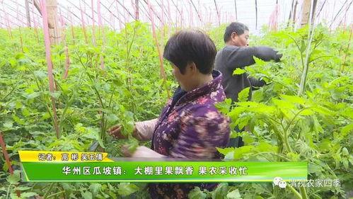 今日瓜坡,聚焦热点，解码民生