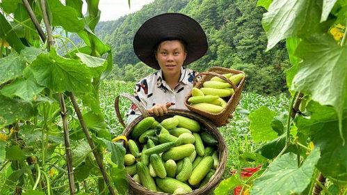 今日瓜坡,聚焦热点，解码民生