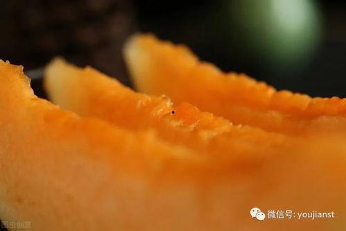 日照今日瓜干价格,供需变化下的市场动态解析”