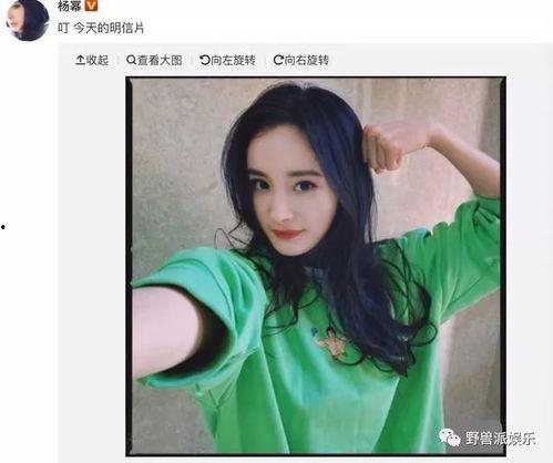 今日吃瓜明星吃瓜,今日明星吃瓜大揭秘