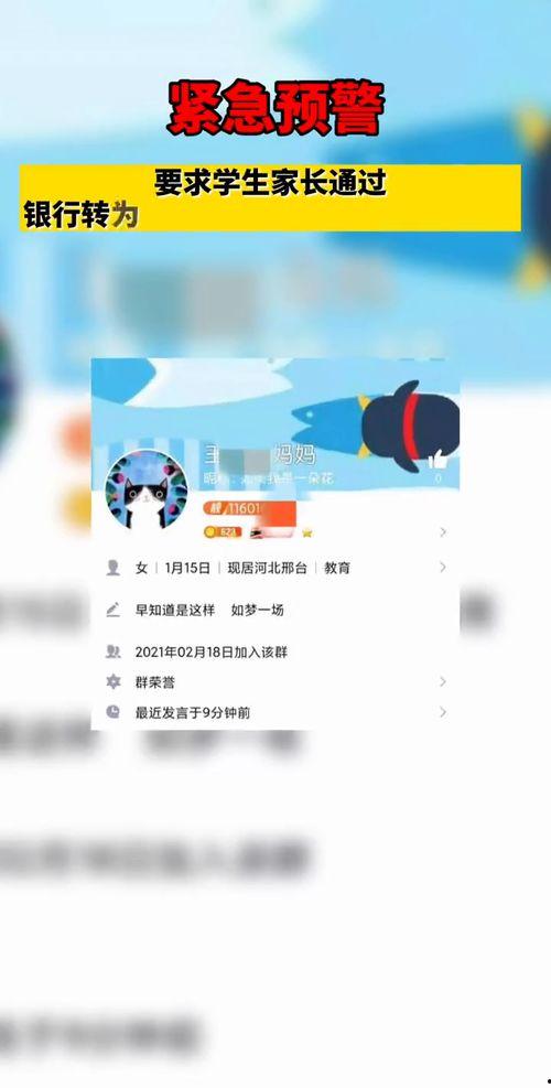 今日出入瓜州最新通知,全面了解今日出行指南