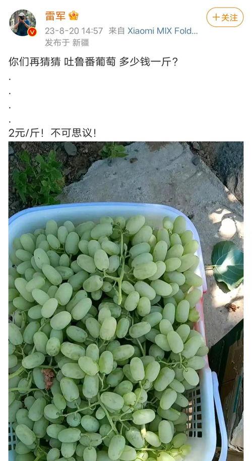 吐鲁番今日瓜价,今日瓜价行情一览