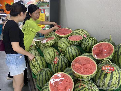 宁夏麒麟瓜今日行情,品质优良，价格稳中有升”