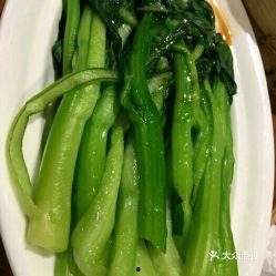 瓜州县水果今日价格,新鲜美味，实惠选购