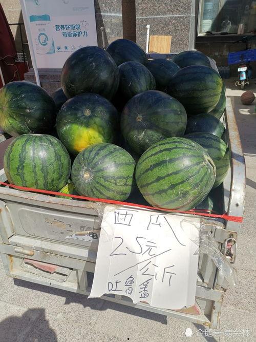 乌鲁木齐今日吃瓜,瓜果飘香，尽享夏日美味时光
