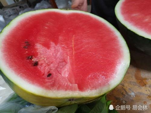 乌鲁木齐今日吃瓜,瓜果飘香，尽享夏日美味时光