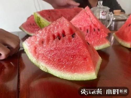今日海南二瓜价格,市场行情实时解析