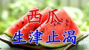 今日入伏吃三瓜,三瓜助你清凉度伏