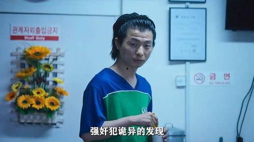瓜姐今日新闻,聚焦热点事件，解码社会现象