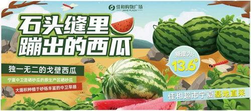 今日必吃瓜热门大瓜,揭秘热门大瓜背后的惊人真相