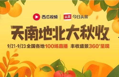 今日头条羊角瓜,揭秘神奇植物的营养与功效