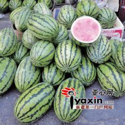 乌鲁木齐今日瓜价,今日瓜价行情一览”